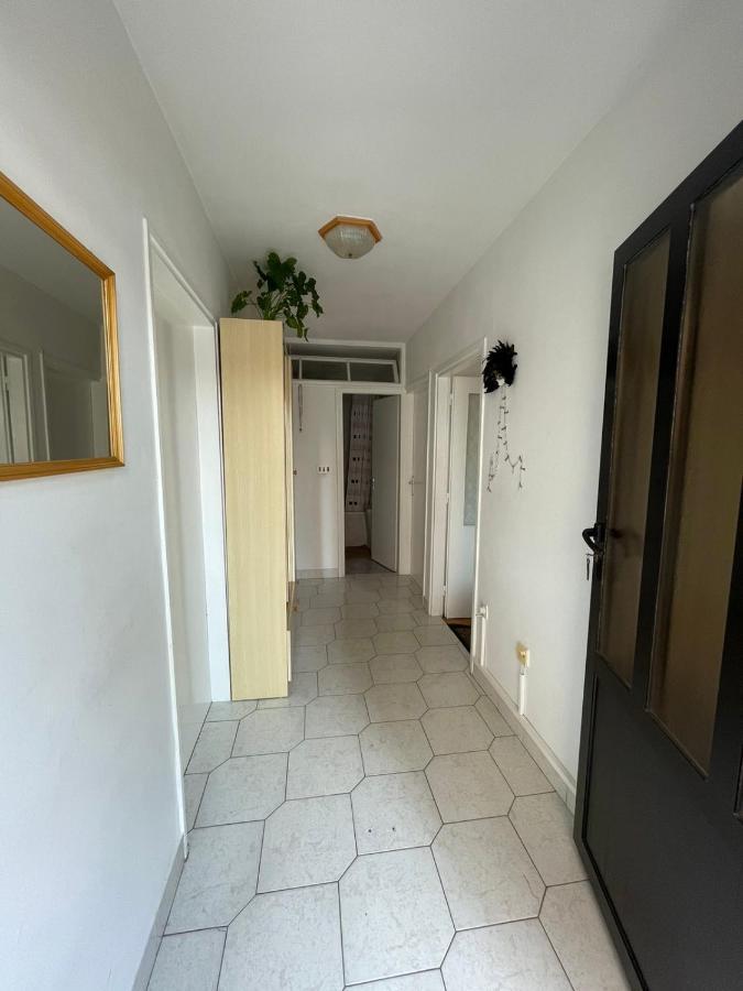 Apartman Renata 茨里克韦尼察 外观 照片